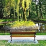Jastrzębie-Zdrój_3_foto-www.jastrzebie.pl.jpg