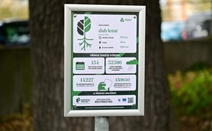 perex - Treetags instalace - foto MHA.jpg