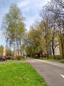 Uliční zeleň - Borovského