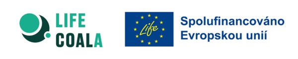 Coala a LIFE PNG.png