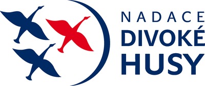 logo_divoké husy.png