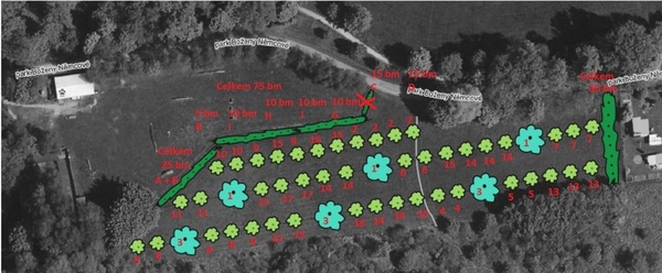 Náš sad - zákres_sadby.jpg