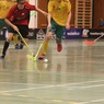 floorball-494818_960_720.jpg