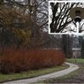 perex-VO-parkBN.jpg