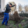 perex - práce na zeleni u kina Centrum.jpg