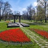 perex - rozkvetlá reminiscence.jpg