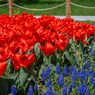 MHA_8119.jpg