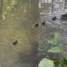 IMG_0709 - kopie.png
