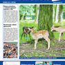 Karvinský zpravodaj_květen-2018_web_Stránka_1.jpg