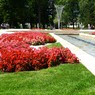 MMK00915.JPG
