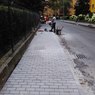IMG_20180712_121835.jpg