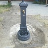 IMG_20190628_075041.jpg