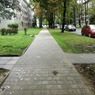 IMG_20190813_080835.jpg