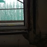 IMG_20190924_073623.jpg