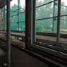 IMG_20190924_073640.jpg