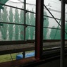 IMG_20190924_073648.jpg