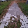 IMG_20191023_175122.jpg