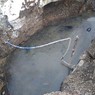 Sv. Čecha 1.jpg
