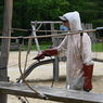 4304.jpg