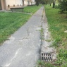 IMG_20200924_172112.jpg