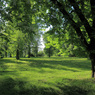 1. Park Bedřicha Smetany.jpg
