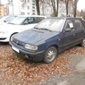 DSCN6509_Felicia_modrá_Březová538.JPG