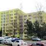 IMG-20210208-WA0000.jpg