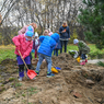 Sazeni_stromu_2021_11_05_foto_Lukas_Hudecek-14.jpg