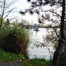 IMG_20221101_143408.jpg