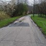 IMG_20230419_081357.jpg