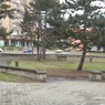 perex - park Gagarinovo náměstí - park.png