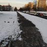 IMG_20240117_080535.jpg