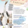 AHOJ LÉTO v Karviné 2024.png