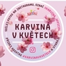 perex - fotosoutěž Rozkvetlá Karviná.jpg