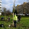 perex-podzimni-vysadba.jpg