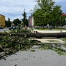 DSC_0128.JPG