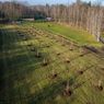 DJI_20251210100738_0997_D.jpg
