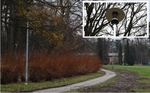 perex-VO-parkBN.jpg