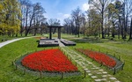 perex - rozkvetlá reminiscence.jpg
