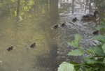 IMG_0709 - kopie.png