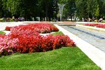 MMK00915.JPG
