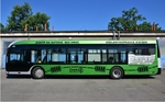 perex_elektrobus_mhd_ilu.jpg