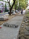 IMG_20190704_073325.jpg