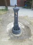 IMG_20190628_075041.jpg