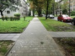 IMG_20190813_080835.jpg