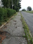 IMG_20190801_074810.jpg