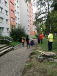 IMG_20190904_070204.jpg