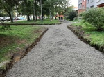 IMG_20190904_071128.jpg