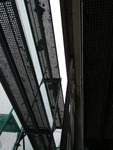 IMG_20190924_073735.jpg