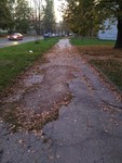 IMG_20191023_175044.jpg